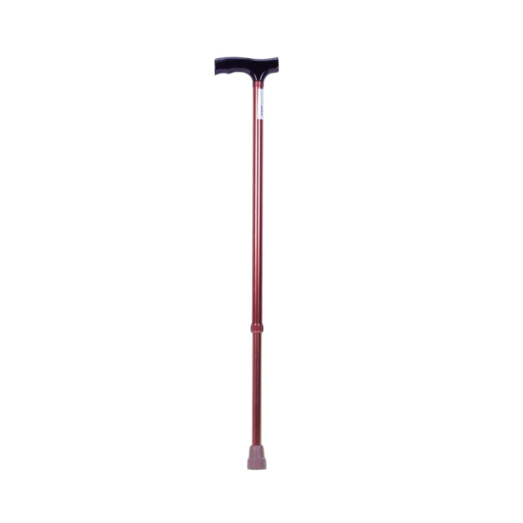 Walking Stick SA59201LB
